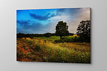 Obraz Rodná zem zs1254